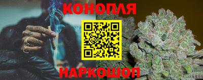 сатива Новокубанск