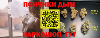 мдпв Новозыбков