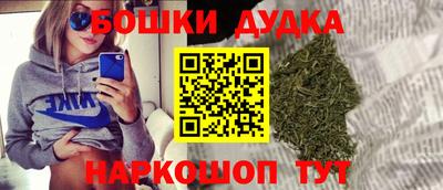 сатива Новокубанск