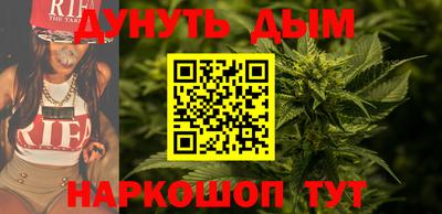 сатива Новокубанск