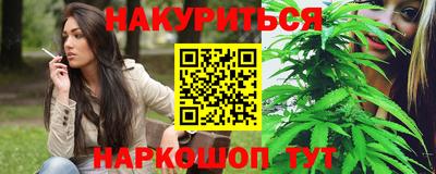 сатива Новокубанск