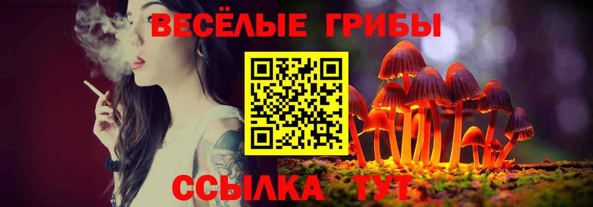 Галлюциногенные грибы Cubensis Сызрань